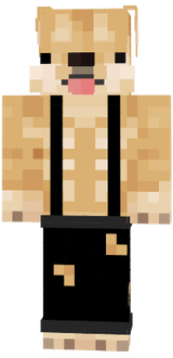 dogee