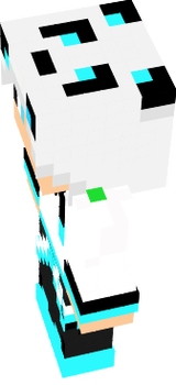 steve