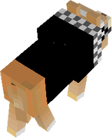 »вιℓγ«