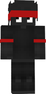 Ninja