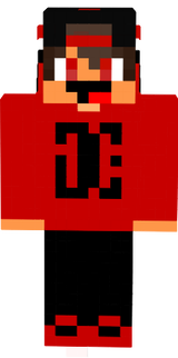 Skin do paneleiro 