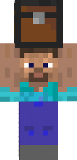 DefectlV