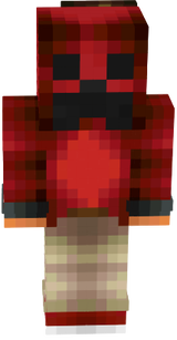 skin