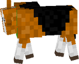 hagxashxs
