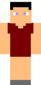 Lady?_Ms.Minecraft