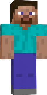 Skin Steve