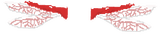 Red Dragonfly wings