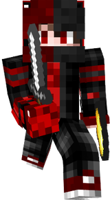banniere skin 1