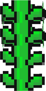 vine