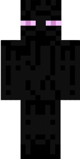 rt24