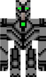 skin
