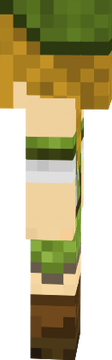 femlink2