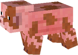 pig