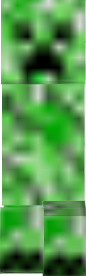 creeper