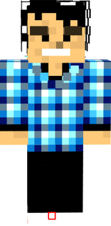 a1