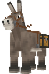 Mustach Donkey