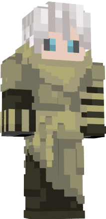 Preview of texture: Grey Paladin