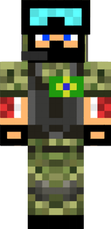 skin