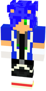 SonicGamer479
