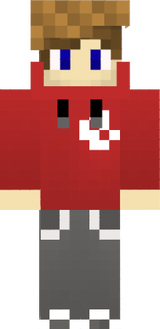 Skin Aldhi (Perfect Skin)
