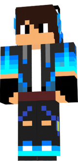 skin