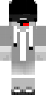 flagman29