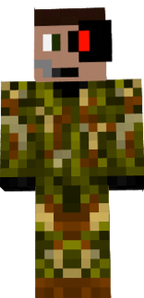 Sniper assasin