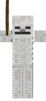 esqueleto