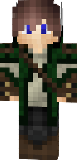 skin