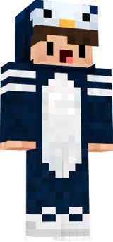 skin 4