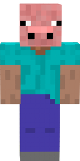 pig steve