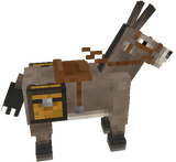 Gray donkey