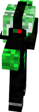 Minecrafter 2013