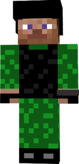 SWATsteev