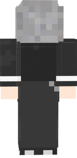 マイクラスキン