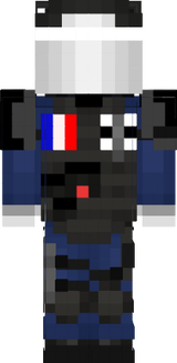 gign 6