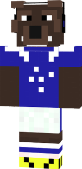 Raposão Camisa 10