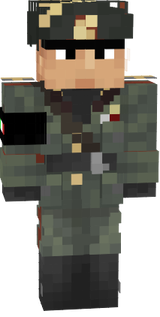 skin minecraft