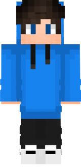 nicht löchen nikis_zockt skin