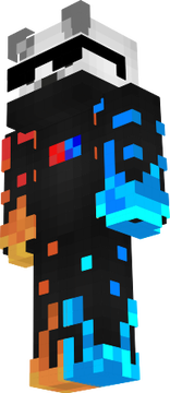 skin princi
