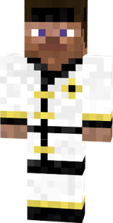 ninja steve