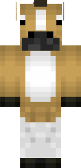 cavalo