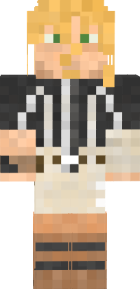 Preview of texture: paul