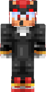 Shadow the heghog