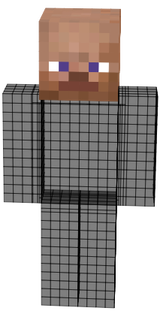 steve careca