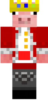 technoblade pro