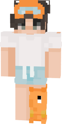 Preview of texture: asıl Robin