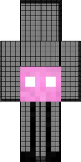 kinito pet