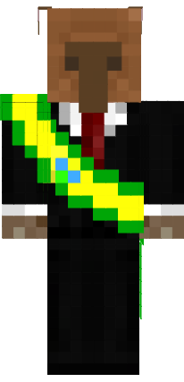 Preview of texture: CAPIBARAA