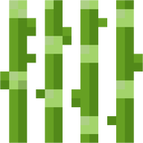 sugarcane